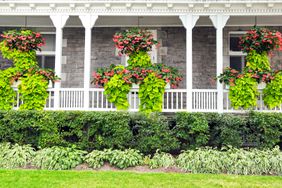 beautiful plants and flowers covering white front porch