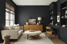 Black painted living room with modern furnishings. 