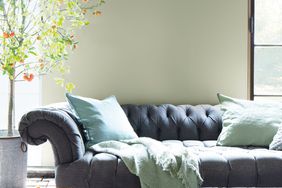 benjamin moore color of the year paint living room wall