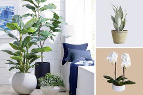 Composite of best faux plants