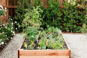 california house vegetable garden bed
