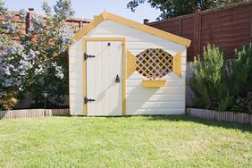 white and yellow painted garden shed