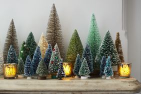 Various tiny Christmas trees on mantelpiece