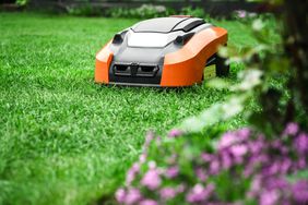 Robot lawn mower in yard