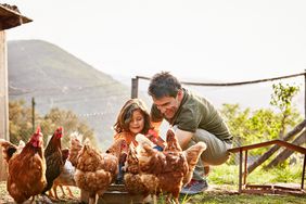 father and daughter feeding chickens in coup