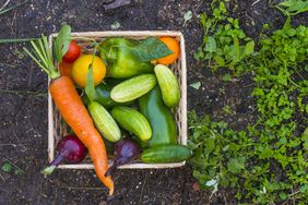 A colorful basket of vegetables sitting on the ground in a garden.