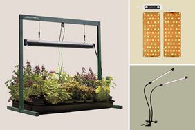 Composite of Grow Lights for your plants