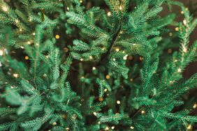 Illuminated Christmas decorations on green Christmas tree