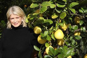 Martha Stewart near lemon tree