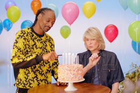 Bic Lighter Ad with Martha Stewart and Snoop Dogg