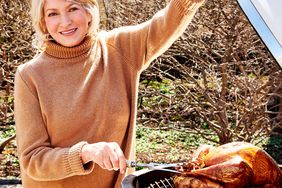 martha stewart grilling turkey