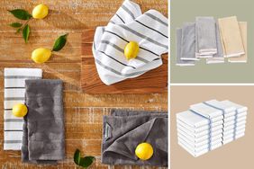 Composite of absorbent dish towels