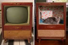Television Set Cat House DIY