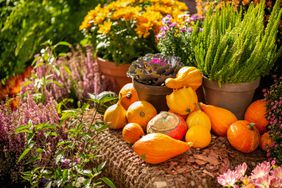 Outdoor decor with gourds and pumpkins