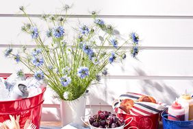 summer outdoor table with buckets in patriotic colors