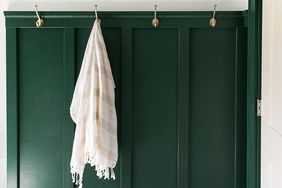 dark green bathroom wall with white flooring and ceiling