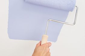 roller brush wall paint