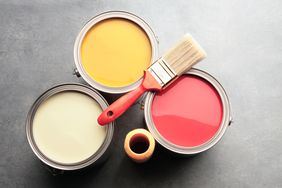 Cans of paint with brush 