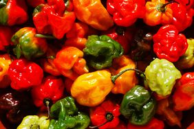 Scotch bonnet habanero hot peppers from Trinidad, home to some of the world's fiercest varieties
