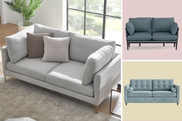Pet Friendly Couches and Sofas