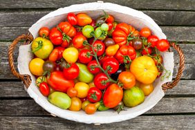 Basket of tomato variety 