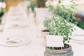 stone pot with plant and table number card at wedding reception