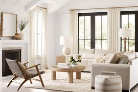 Living room in muted tones