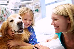 therapy dog visiting child in hospital