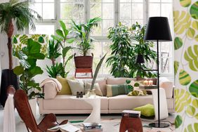 Trees and plants in living room