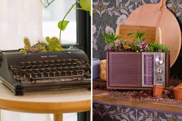 diy succulent planters made from vintage radio and typewriter