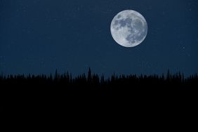 Super moon over night forest