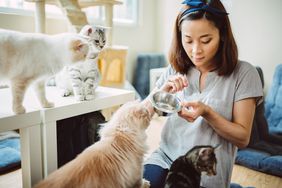 woman feeding four cats